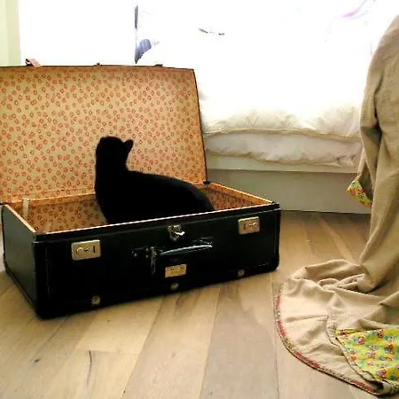 Missortelia Amsterdam