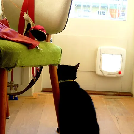 Oda ve Kahvaltı Missortelia