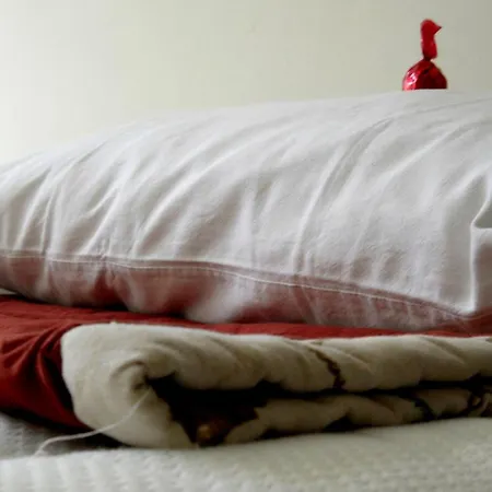 Oda ve Kahvaltı Missortelia 2*