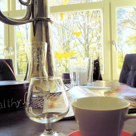 Missortelia Amsterdam