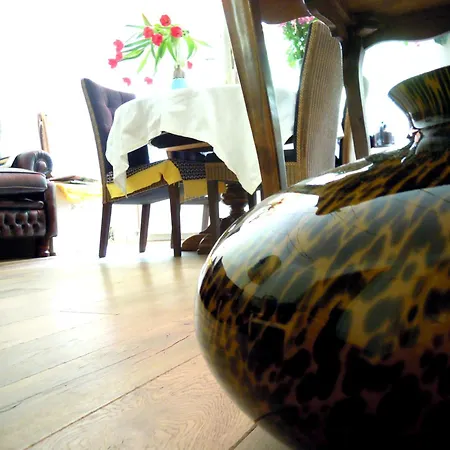 Missortelia Amsterdam