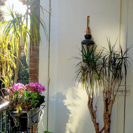 Missortelia Amsterdam