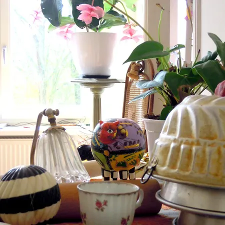 Oda ve Kahvaltı Missortelia