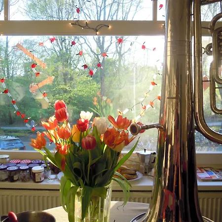 Oda ve Kahvaltı Missortelia