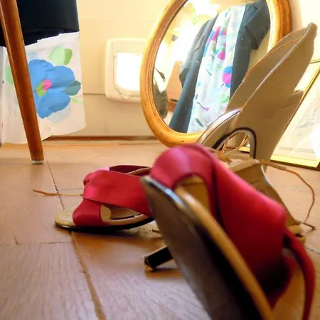 Missortelia Amsterdam