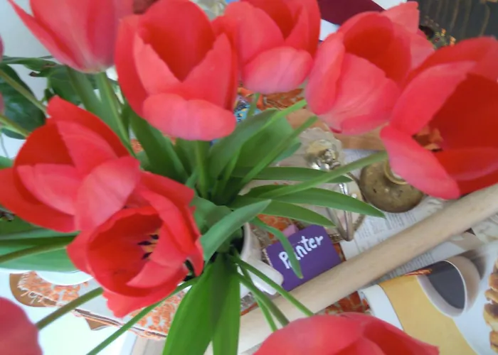 Bed & Breakfast Missortelia Amsterdam