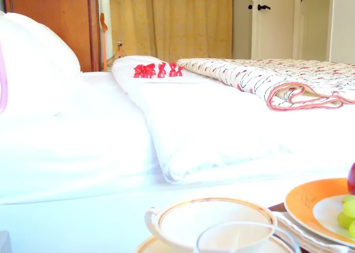 Bed & Breakfast Missortelia Amsterdam