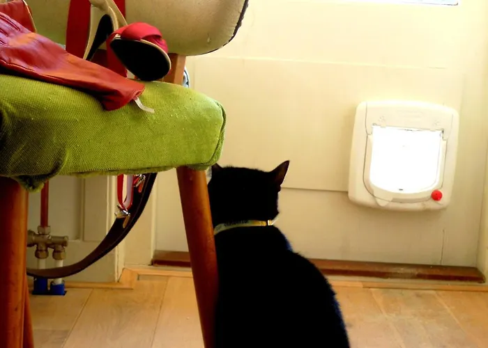 Bed & Breakfast Missortelia