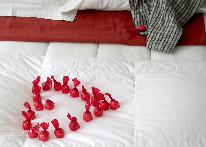 Missortelia Amsterdam