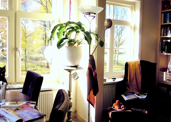 Missortelia Amsterdam