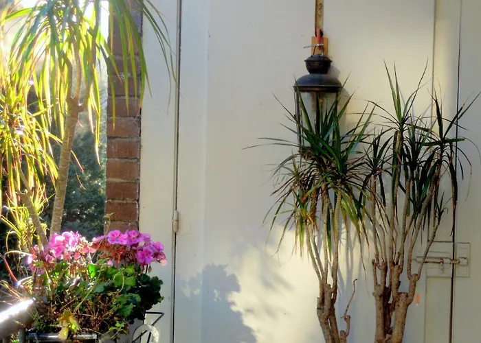 Missortelia Amsterdam