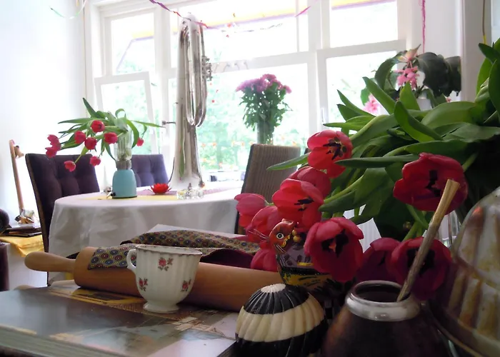 Missortelia Amsterdam