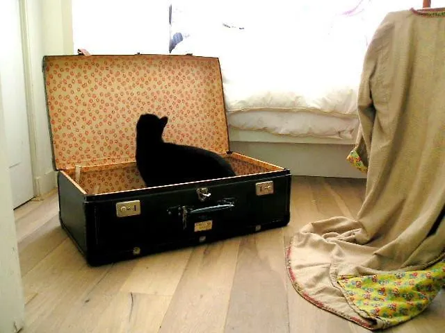 Missortelia Bed & Breakfast 2*