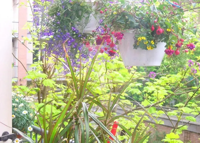 Bed & Breakfast Missortelia Amsterdam