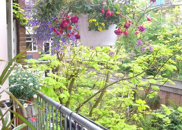 Missortelia 2* Amsterdam