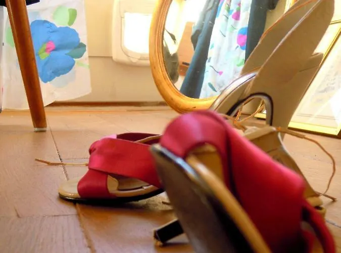 Missortelia Amsterdam