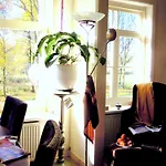 Missortelia Amsterdam
