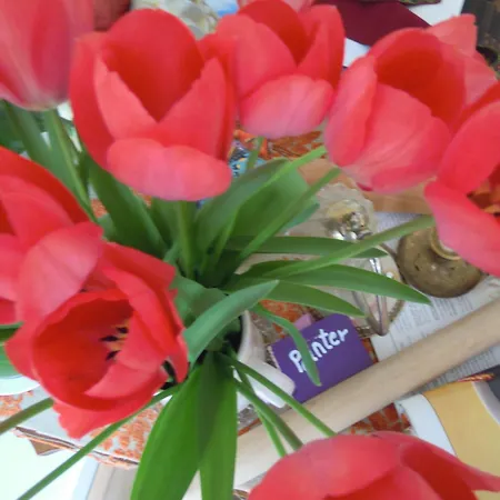 לינה וארוחת בוקר Missortelia אמסטרדם