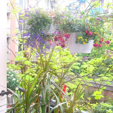 Bed & Breakfast Missortelia Amsterdam